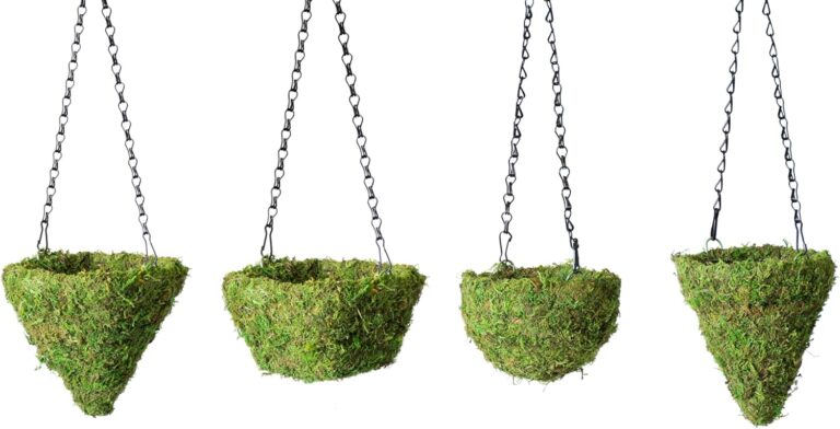 Product Reviews 22 7157HrxehL. AC SL1500 Next Home Chef