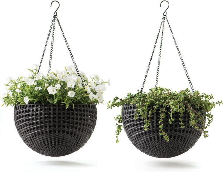 Product Reviews 1 814fTMSMxpL. AC SL1500 Next Home Chef