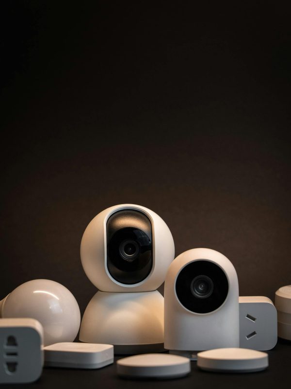 pexels-jakubzerdzicki-16423102 pexels-jakubzerdzicki-16423102