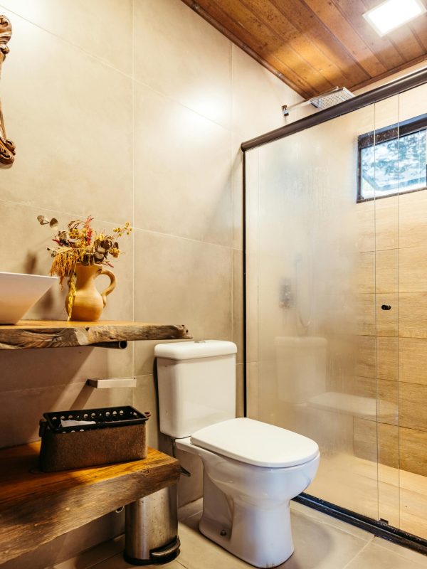 pexels-jonathanborba-30708774 pexels-jonathanborba-30708774